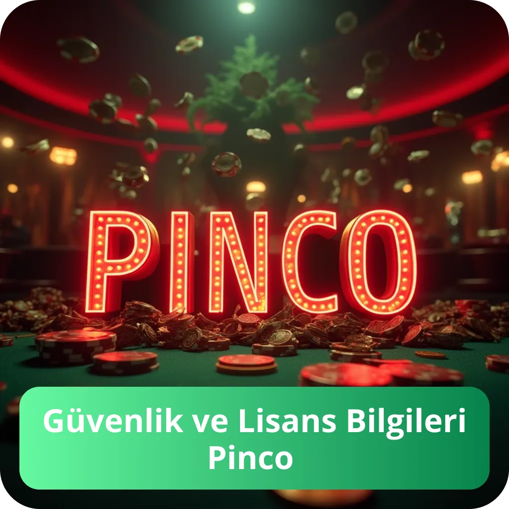 Güvenlik ve Lisans Bilgileri Pinco
